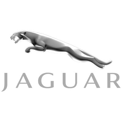 Jaguar Jaguar